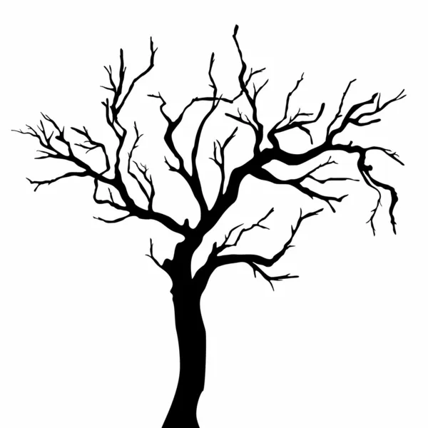 Tree silhouettes. — Stock Vector