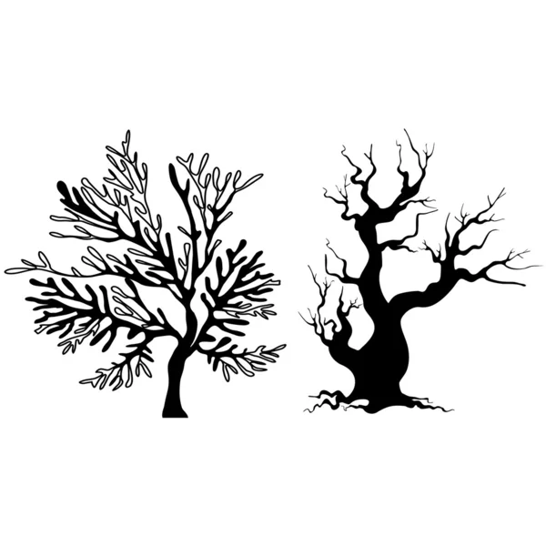 Σιλουέτες δέντρων. — Διανυσματικό Αρχείο