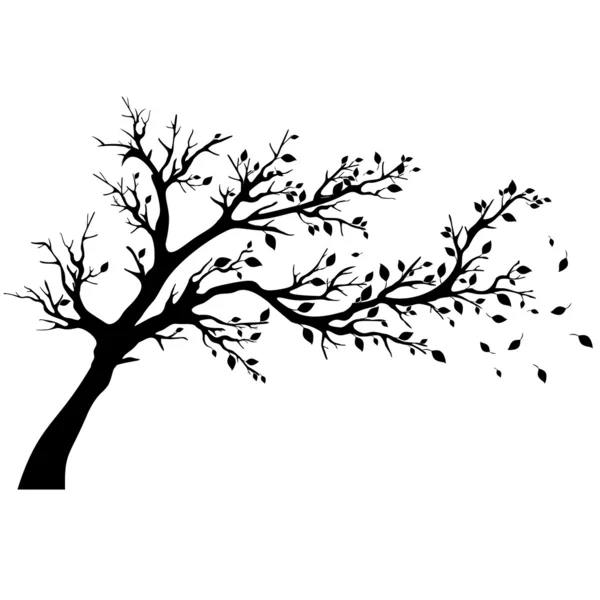Tree silhouettes. — Stock Vector
