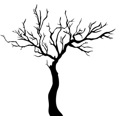 Tree isolated clipart