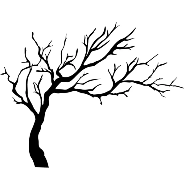 Arbre isolé — Image vectorielle