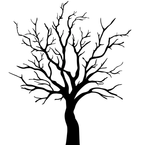 Árvore isolada —  Vetores de Stock