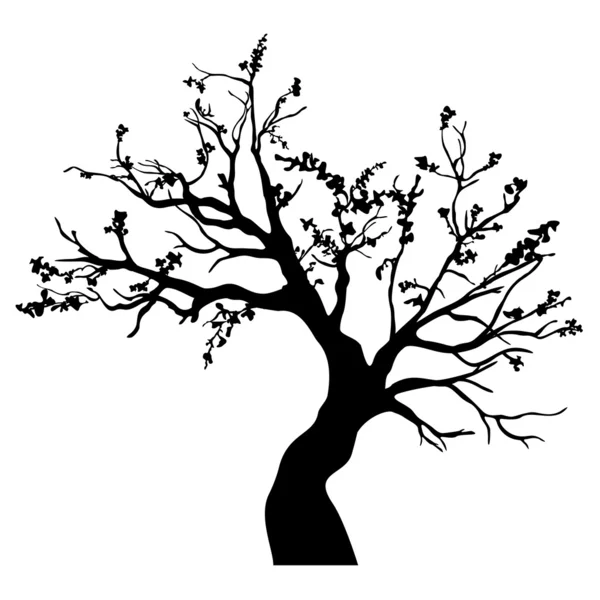 Árbol aislado — Vector de stock