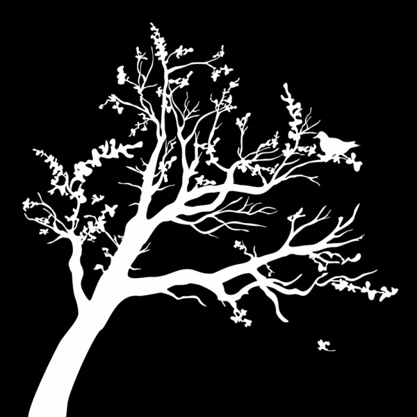 Silueta de árbol — Vector de stock