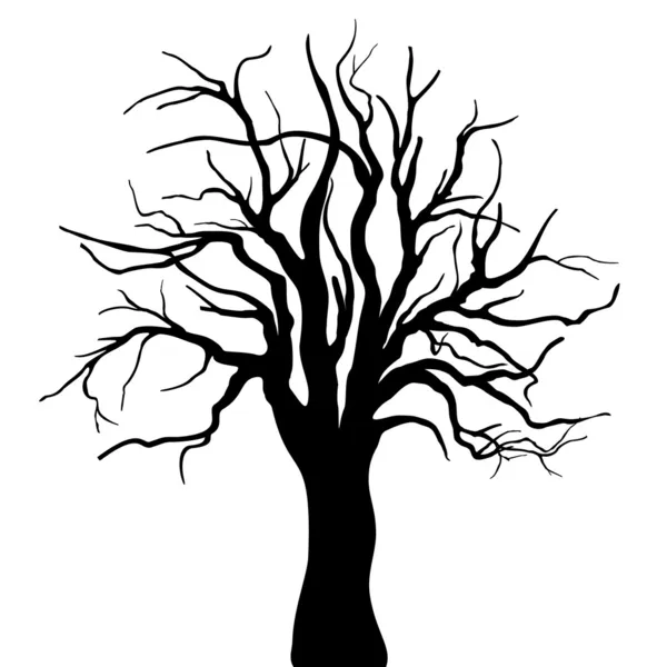 Tree silhouette — Stock Vector