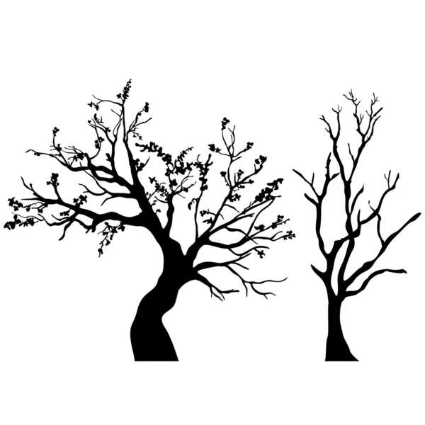 Silueta de árbol — Vector de stock