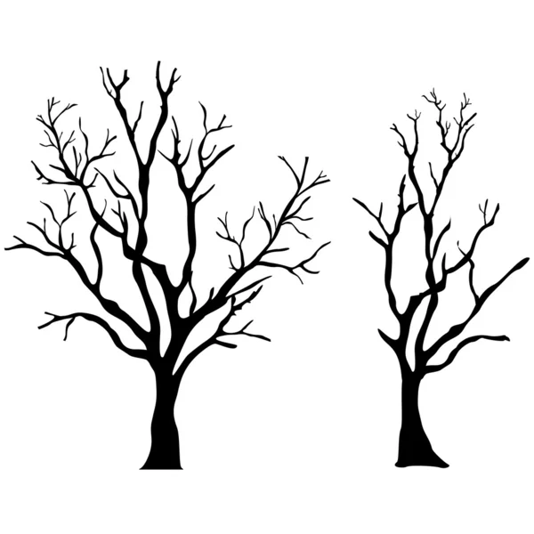 Tree silhouette — Stock Vector