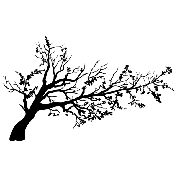 Silueta de árbol — Vector de stock