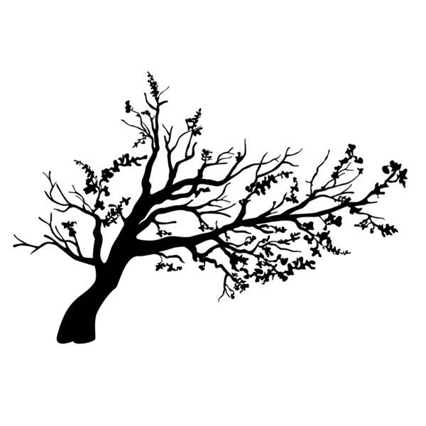 Silhouette d'arbre — Image vectorielle