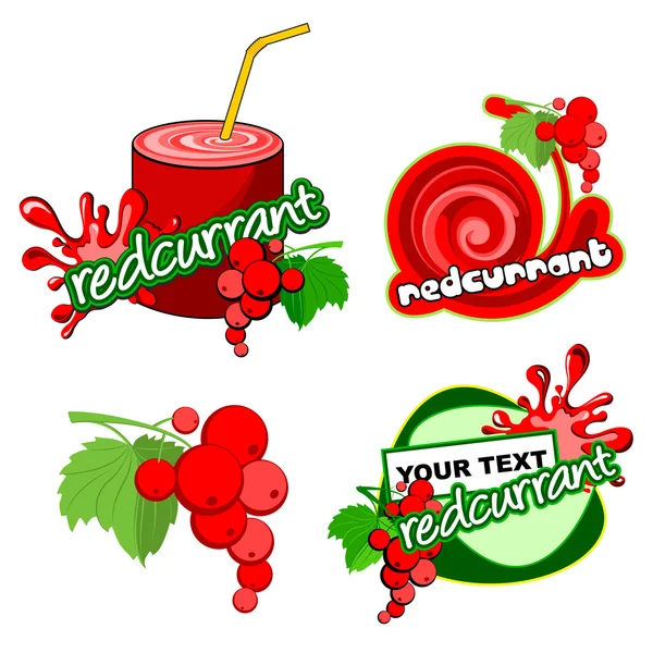 Diseño de etiquetas de frutas. Vector grosella roja . — Archivo Imágenes Vectoriales