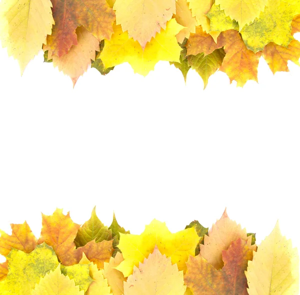 Frame of colorful autumn leaves — Stock Photo, Image