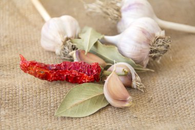 sarımsak ve baharat ehlileştirmek üzerinde