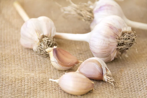 Garlic and spices on sacking — Stock Photo, Image