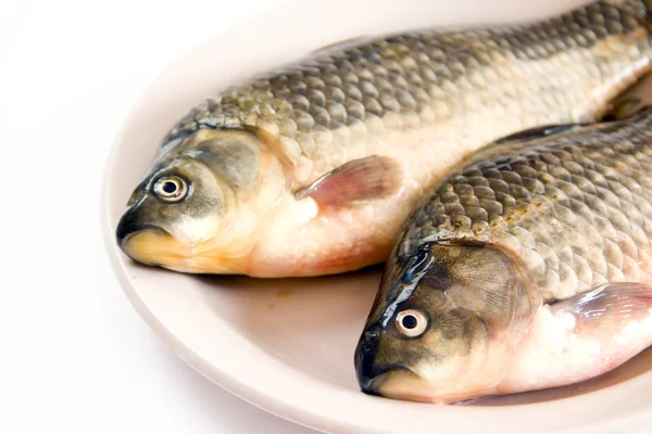 Peixe fresco em um prato — Fotografia de Stock