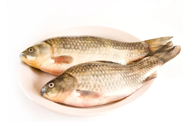 Pescado fresco en un plato —  Fotos de Stock