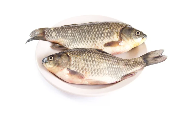 Čerstvé ryby na talíři — Stock fotografie