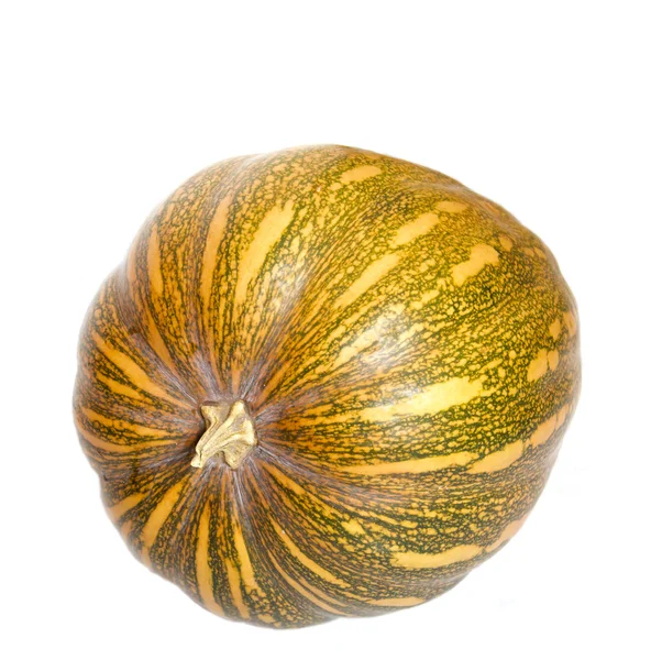 Pumpkin — Stock Photo, Image