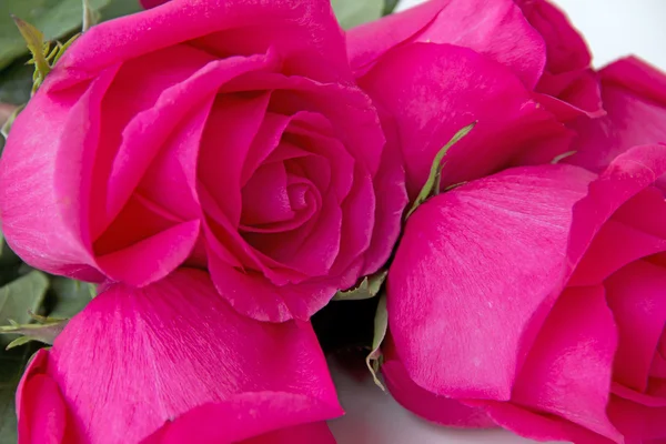Roses bouquet on a close-up — Stock Photo, Image
