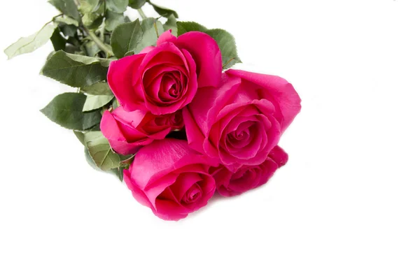 Roses bouquet on a close-up — Stock Photo, Image