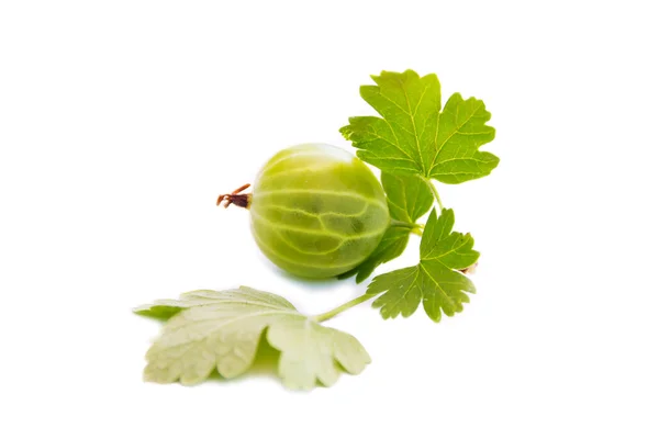 Gooseberry — Stock Photo, Image