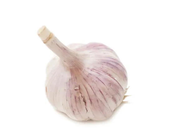 Garlic — Stock Photo, Image