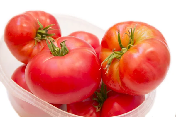 Tres tomates rojos sobre un fondo blanco — Foto de Stock