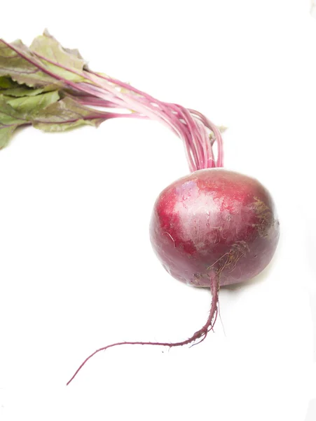 beyaz zemin üzerine pancar