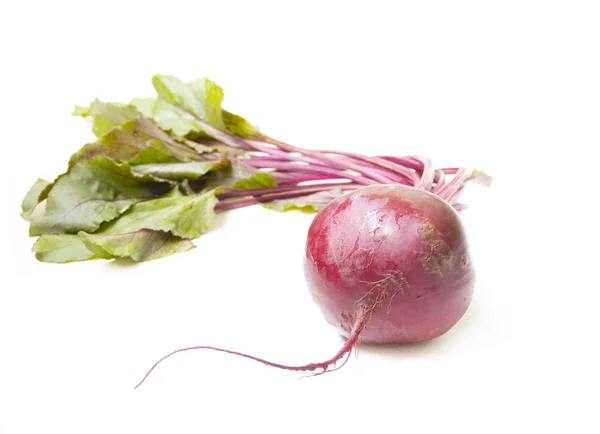 Beet on white background — Stock Photo, Image