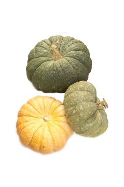 farklı çeşitleri: beyaz zemin üzerine kabaklar