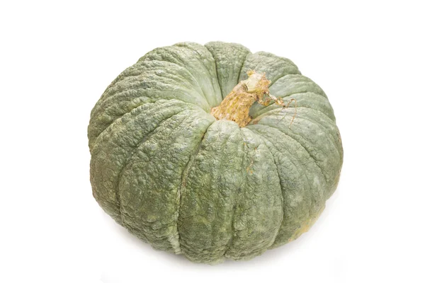 Different varieties of pumpkins on a white background — Stock Photo, Image