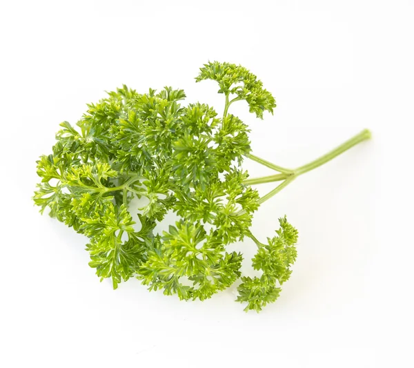 Parsley on a white background — Stock Photo, Image