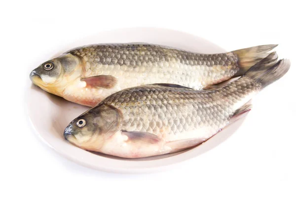 Peixe crucian em uma chapa — Fotografia de Stock