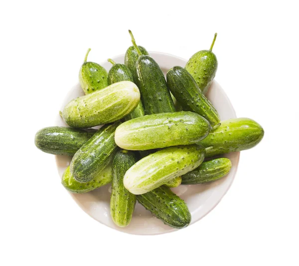 Komkommers op een plaat — Stockfoto
