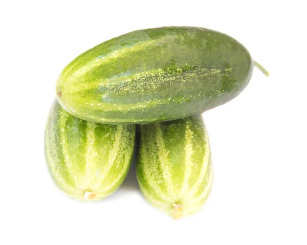 Fresh cucumbers on white background — Stock Photo, Image