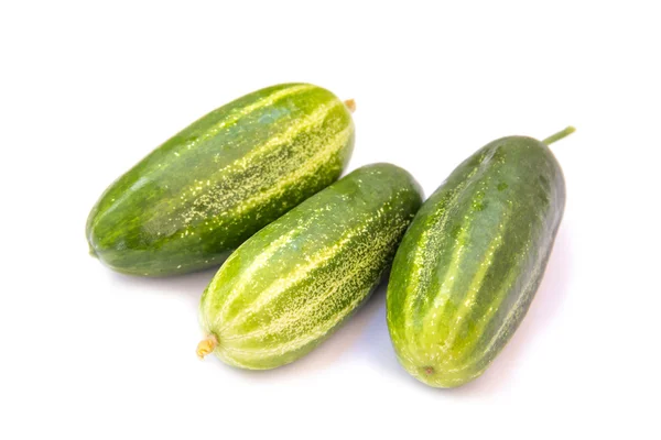 Fresh cucumbers on white background — Stock Photo, Image