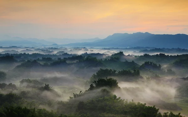 Prachtige mist met bergen — Stockfoto