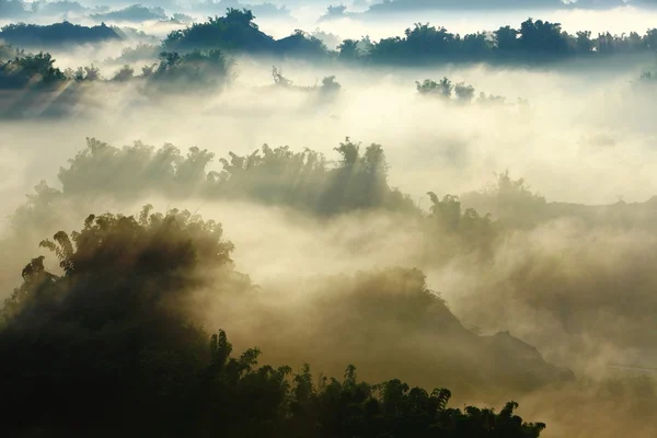 Sunshine on the morning mist — Stock Photo, Image