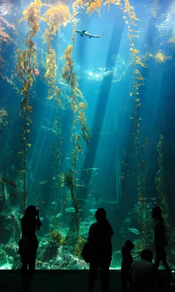 Vacker havsutsikt och silhuetten av turister — Stockfoto