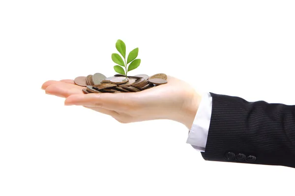 Green plant sprouting from hand with money — Stock Photo, Image