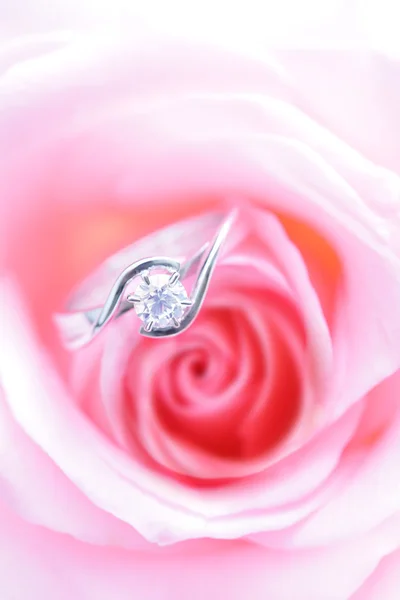 Rose rose romantique avec bague de mariage en diamant — Photo