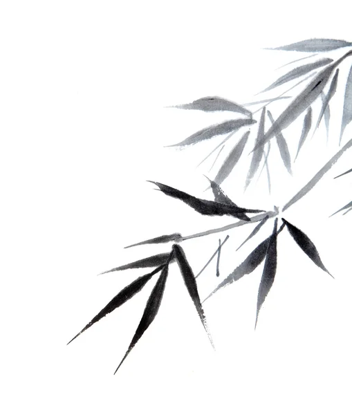 대나무 잎 — 스톡 사진