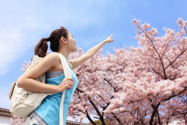 Happy woman pointing to sakura tree — Stock Photo, Image