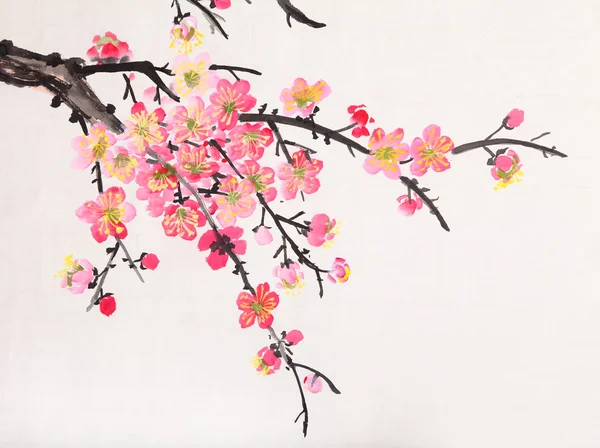 Chińskie malarstwo kwiat kwiaty, Śliwka — Zdjęcie stockowe