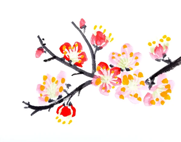 Kinesisk målning av blommor, plum blossom — Stockfoto