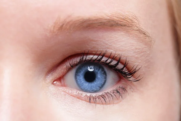 Woman blue eye — Stock Photo, Image