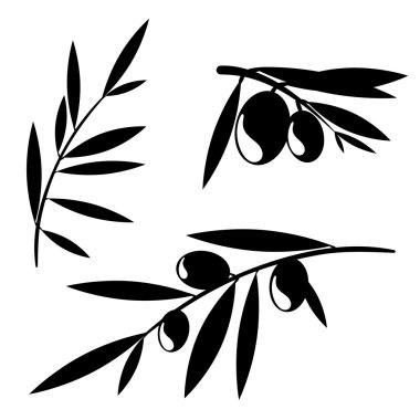 Download Olive Branch Free Vector Eps Cdr Ai Svg Vector Illustration Graphic Art
