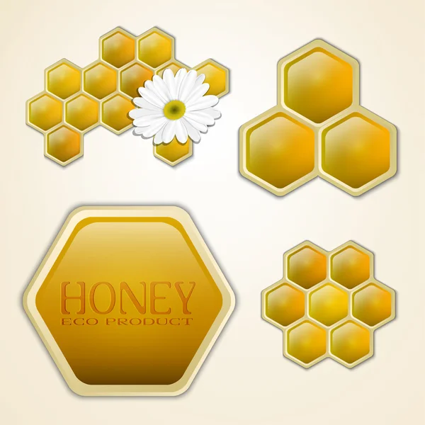 Vektorové prvky návrhu plástů medu — Stockový vektor