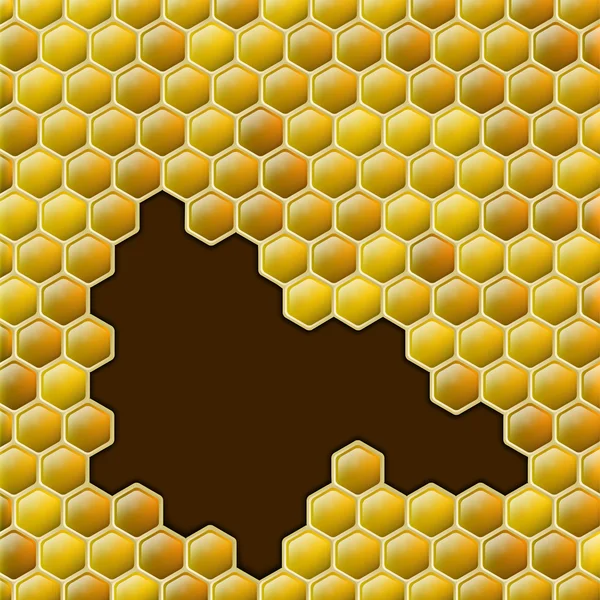 Vector honey combs background — Stock Vector