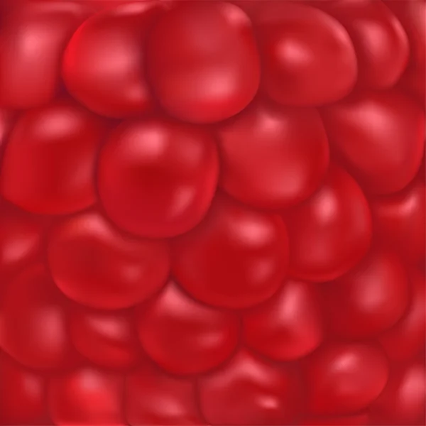 Texture vectorielle framboise — Image vectorielle