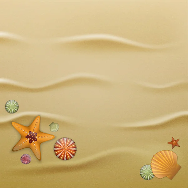 Seashells on sand, background — Stock Vector